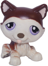 #0427 Husky